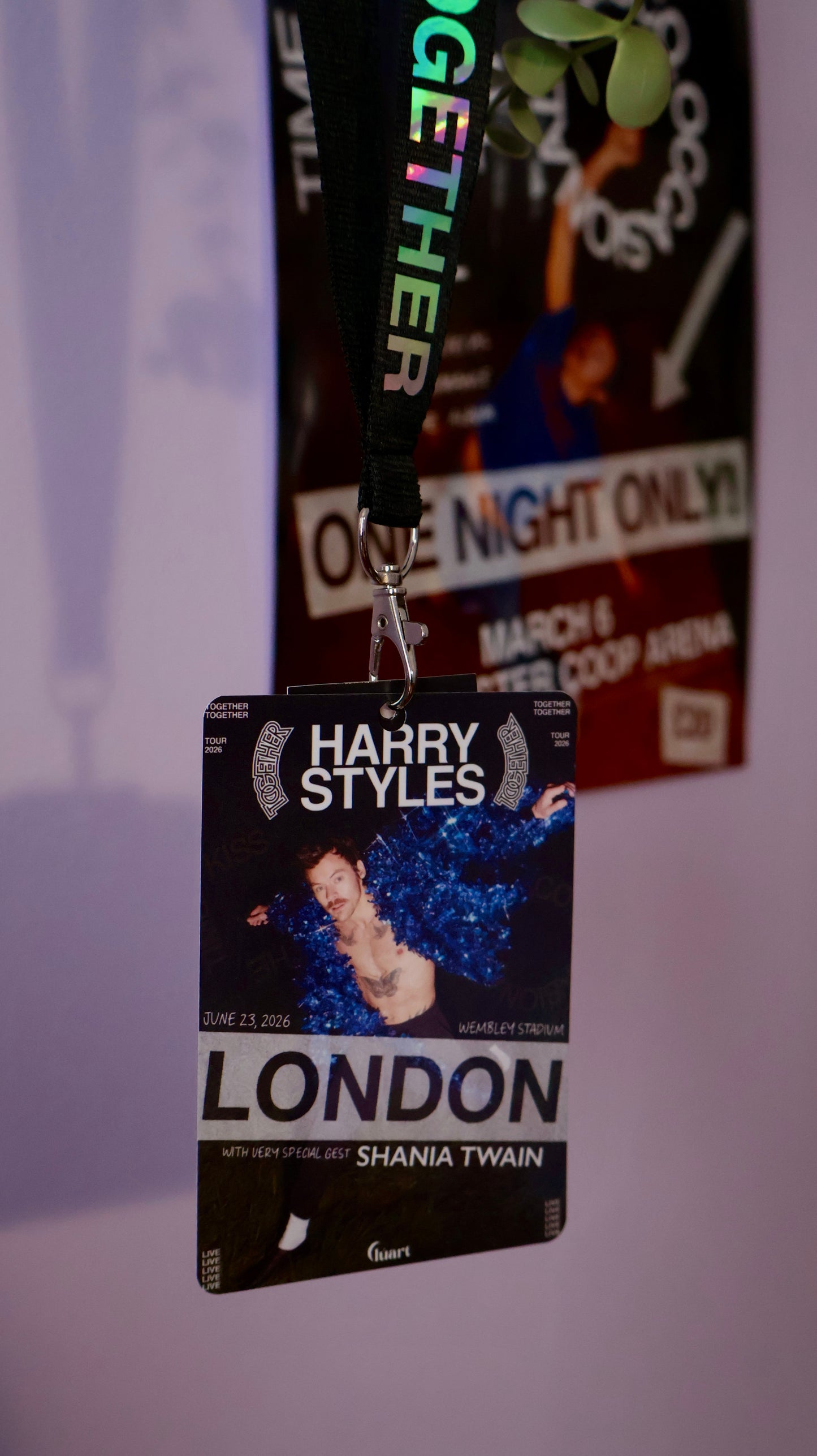 Lanyard Together, Together Tour Personalizado